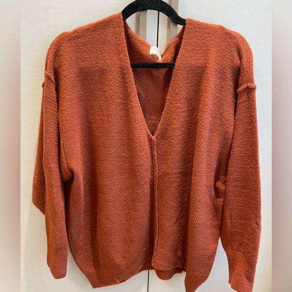 Wilfred Free Rust V-Neck Sweater - Picture 4 of 8